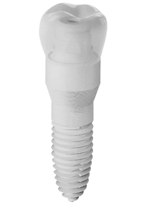 Keramikimplantat freigestellt